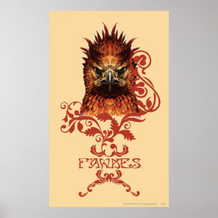 Poster Fawkes Staring