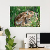 Poster Fawn 2009 (Bureau à domicile)
