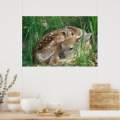 Poster Fawn 2009 (Cuisine)