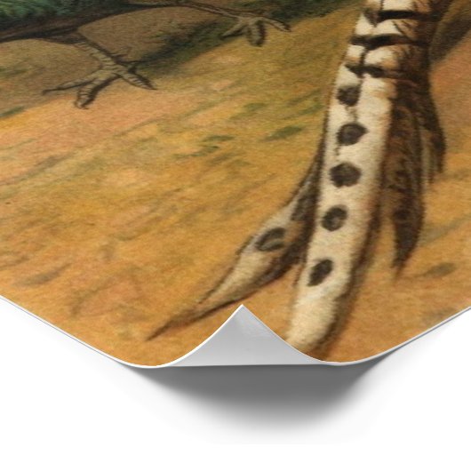 Poster fazanten (Hoek)