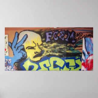 POSTER FCEM