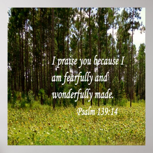 Poster Fearful et merveilleusement fait (Devant)