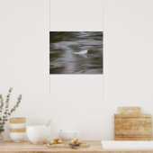 Poster feather on the water (Cuisine)