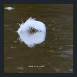 Poster Feather on the water<br><div class="desc">Feather on the water,  Delaware River,  South Jersey</div>