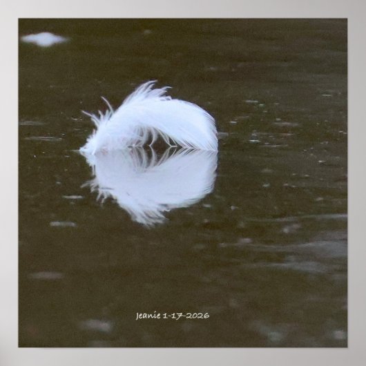 Poster Feather on the water (Devant)