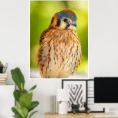 Poster Feathered Ember: The Watchful Kestrel (Bureau à domicile)