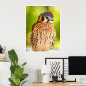 Poster Feathered Ember: The Watchful Kestrel (Bureau à domicile)