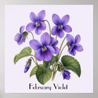 Poster February Violet Flowers