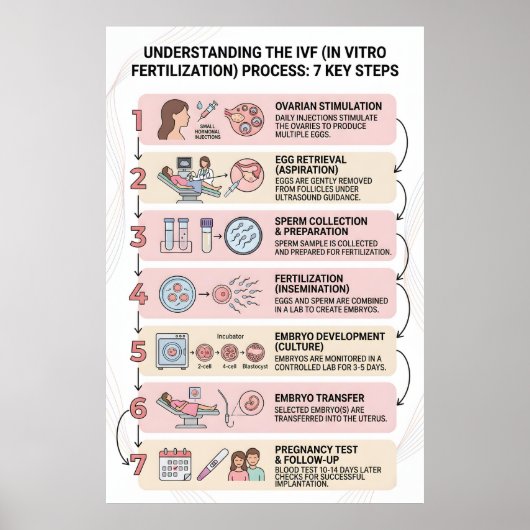 Poster Fécondation In Vitro (FIV) Processus Expliqué : 7 (Devant)