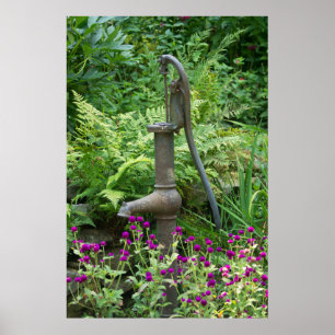 Poster Fed du printemps