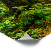 Poster Fée dans la forêt magique avec Bambi et papillon (Coin)