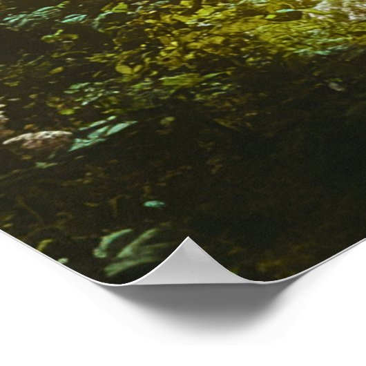 Poster Fée dans une forêt magique (Coin)