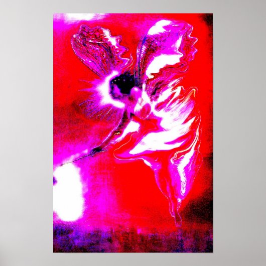 Poster fée de Noël (Devant)