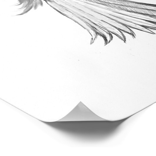 Poster Fée de saule de pleur avec le chaton (Coin)