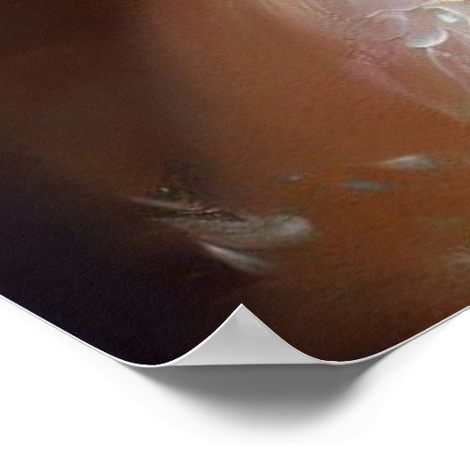 Poster Fée d'écureuil (Coin)