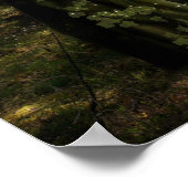 Poster Féerie forestière (Coin)