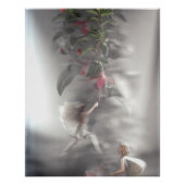 Poster Fées 3 (Devant)