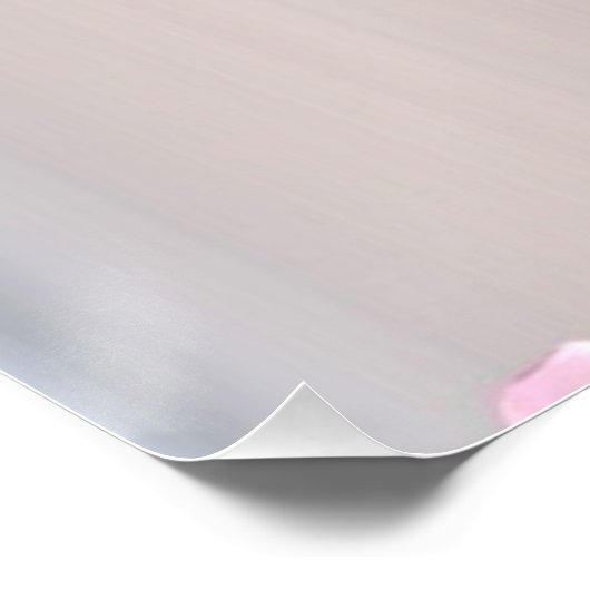 Poster Fées 5 (Coin)