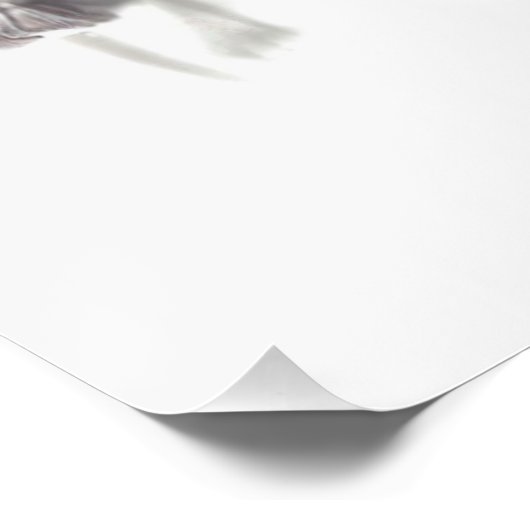 Poster Fées 6 (Coin)