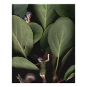 Poster Fées 7 (Devant)