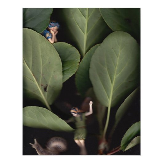 Poster Fées 7 (Devant)