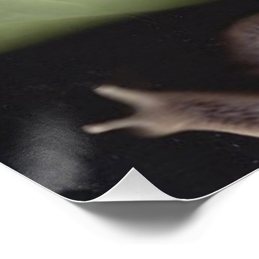 Poster Fées 7 (Coin)