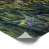 Poster Fées et lapin (Coin)