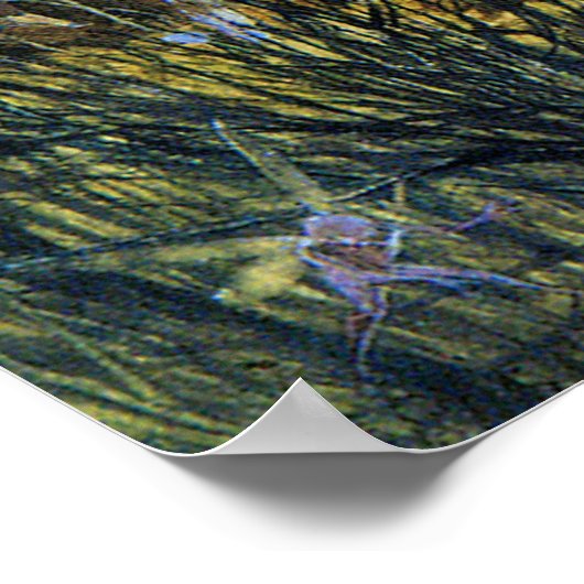 Poster Fées et lapin (Coin)