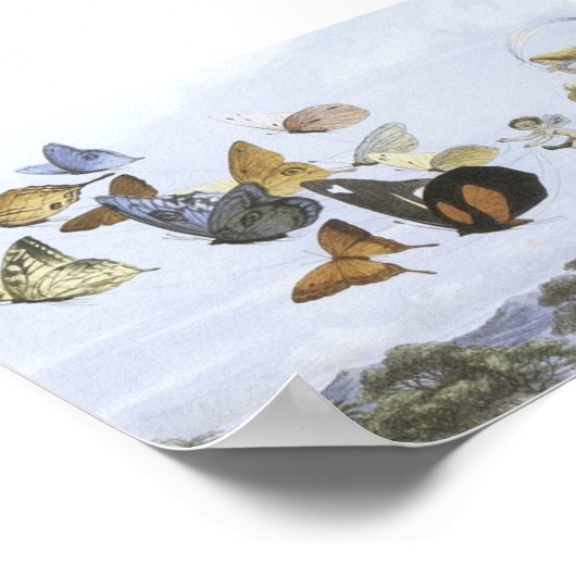 Poster - Fées Riding Papillons (Coin)