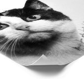 Poster Félicette : Le premier chat dans l'espace (Coin)