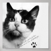 Poster Félicette : Le premier chat dans l'espace (Devant)