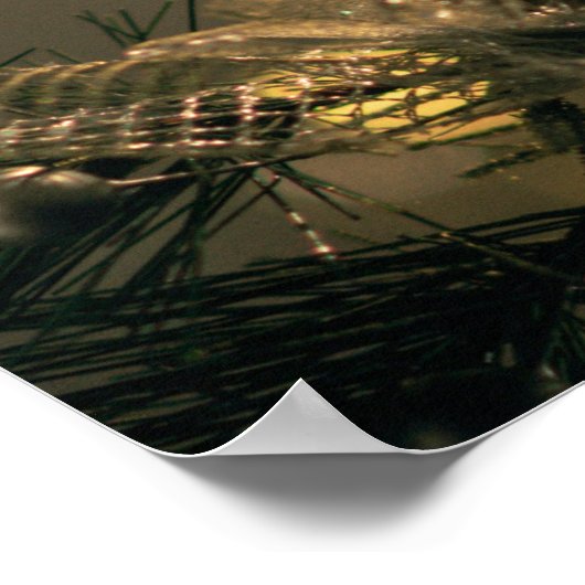 Poster Félicitations (Coin)