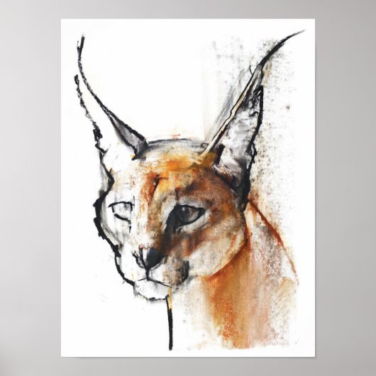 Poster Feline (Devant)