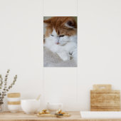 Poster (Feline Fancy) Contemplation Kitty : Photo Cat (Cuisine)
