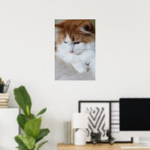 Poster (Feline Fancy) Contemplation Kitty : Photo Cat (Bureau à domicile)