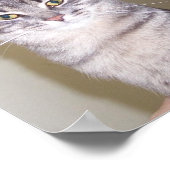 Poster Féline puissante, mortel idiot... (Coin)