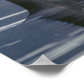 Poster femelle adulte Orca Whale Orcinus Orca), Puget (Coin)