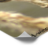 Poster femelle de l'oiseau-noir à ailes rouges (Coin)