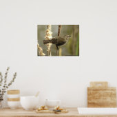 Poster femelle de l'oiseau-noir à ailes rouges (Cuisine)