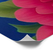 Poster Femme afro avec casquette étoilé (Coin)