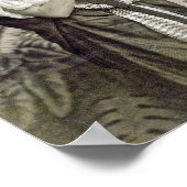 Poster Femme arabe, danseuse, Vintage (Coin)