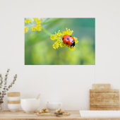 Poster femme au sommet (Cuisine)