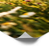 Poster Femme dans un champ de blé (Coin)
