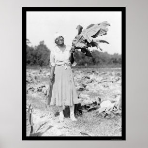 Poster Femme de l'Amérique d'Africain avec du tabac 1912