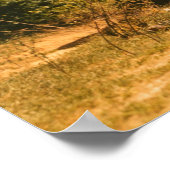 Poster Femme des plaines blanches, années 1940 (Coin)