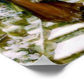 Poster Femme d'hiver Collie Chien (Coin)