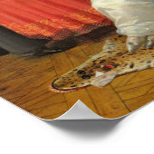 Poster Femme écrivant une lettre (Coin)