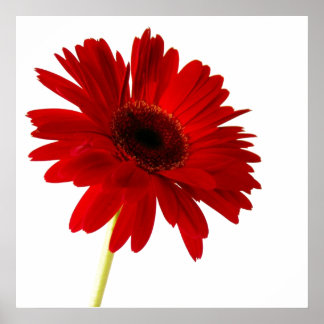 Poster femme en rouge