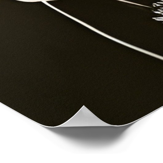 Poster Femme et fleurs (Coin)