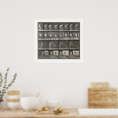 Poster Femme jetant un seau d'eau, plaque 401 de ' (Cuisine)